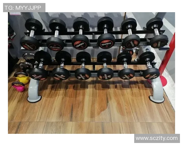 综合版健身器材功能详解及训练效果分析