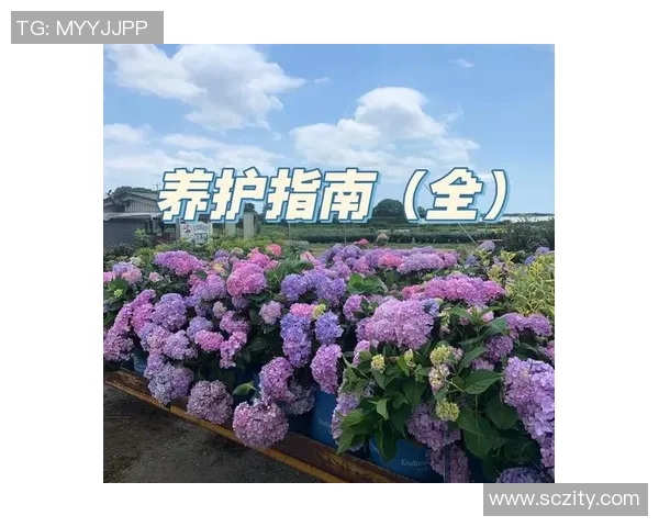 花卉种植技巧与养护方法全面解析,打造美丽花园的实用指南