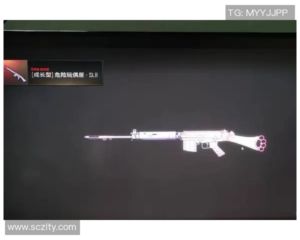 深度对话:探索杨磊在和平精英中的成长与人生哲学